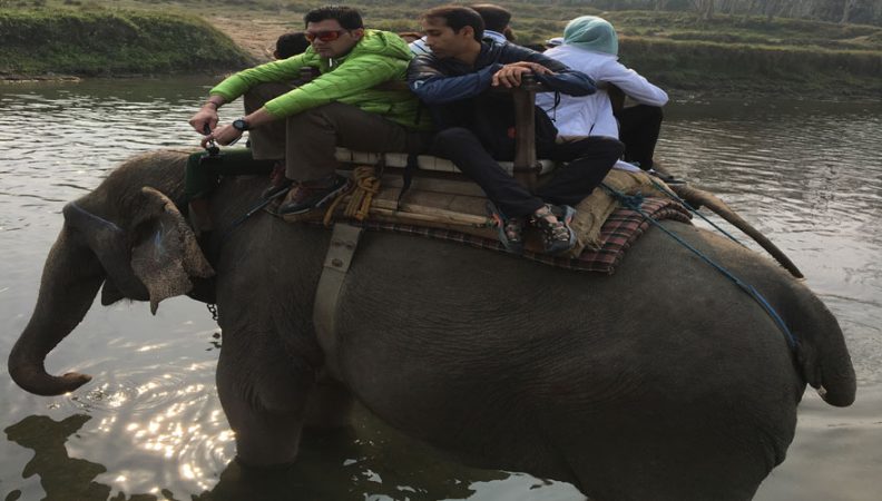 Chitwan Elephant Ride